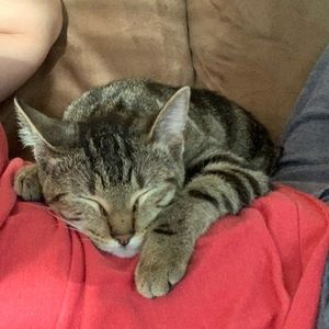 Meet your Posher, Shalynn